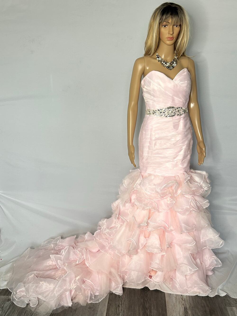 Albizia Blush Pink Mermaid Formal Gown Beaded Corset Ruffle Train